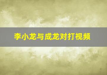 李小龙与成龙对打视频