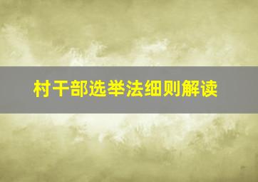 村干部选举法细则解读