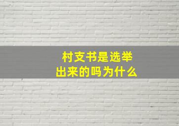 村支书是选举出来的吗为什么