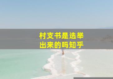 村支书是选举出来的吗知乎