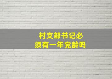 村支部书记必须有一年党龄吗