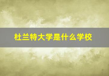 杜兰特大学是什么学校