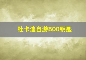 杜卡迪自游800钥匙