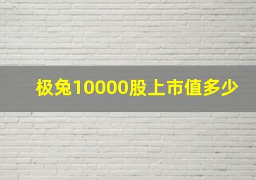 极兔10000股上市值多少