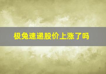 极兔速递股价上涨了吗