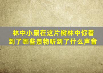 林中小景在这片树林中你看到了哪些景物听到了什么声音