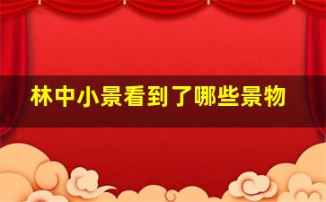 林中小景看到了哪些景物