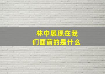 林中展现在我们面前的是什么