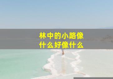 林中的小路像什么好像什么