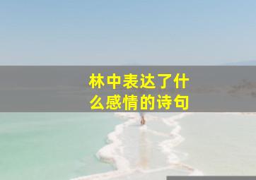 林中表达了什么感情的诗句