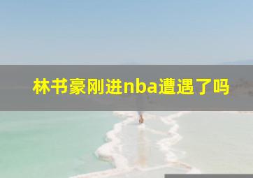 林书豪刚进nba遭遇了吗