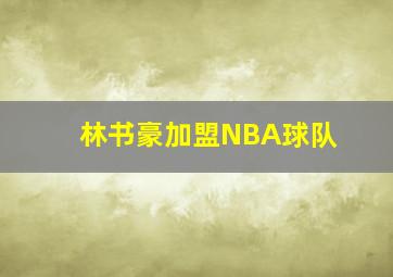 林书豪加盟NBA球队