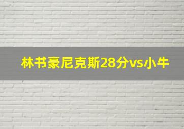 林书豪尼克斯28分vs小牛