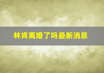 林肯离婚了吗最新消息