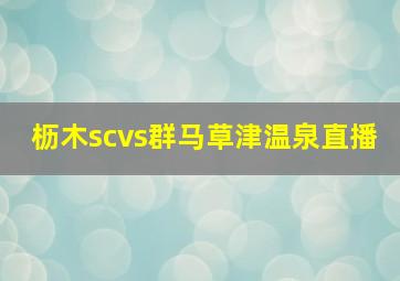 枥木scvs群马草津温泉直播