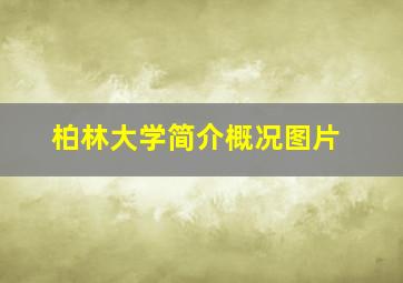 柏林大学简介概况图片