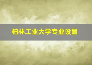 柏林工业大学专业设置