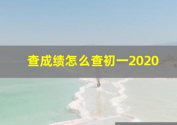 查成绩怎么查初一2020