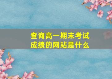 查询高一期末考试成绩的网站是什么