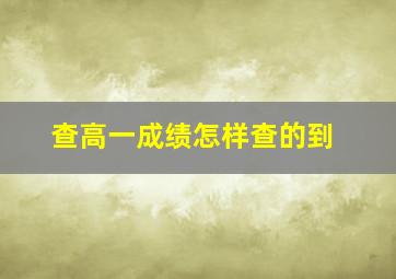 查高一成绩怎样查的到