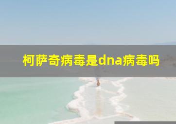 柯萨奇病毒是dna病毒吗