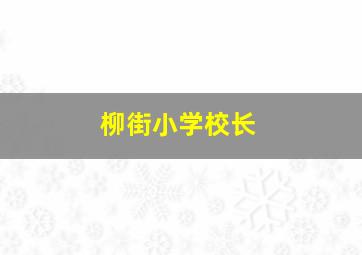 柳街小学校长