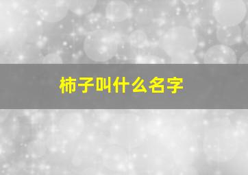 柿子叫什么名字