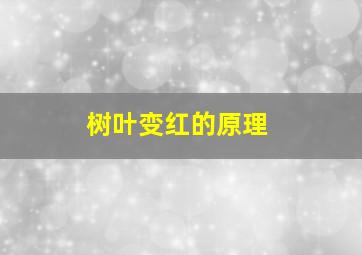 树叶变红的原理