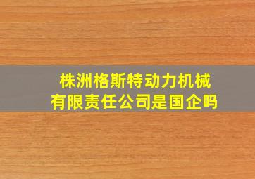 株洲格斯特动力机械有限责任公司是国企吗