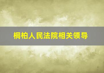 桐柏人民法院相关领导