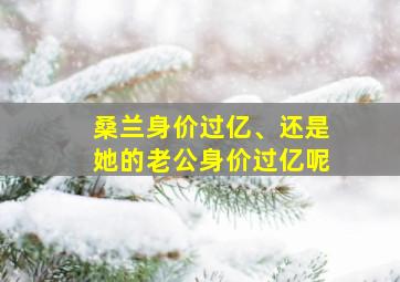 桑兰身价过亿、还是她的老公身价过亿呢