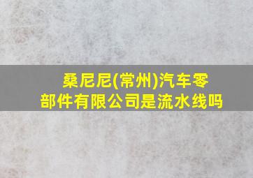 桑尼尼(常州)汽车零部件有限公司是流水线吗