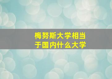 梅努斯大学相当于国内什么大学