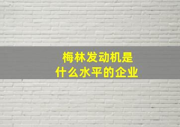 梅林发动机是什么水平的企业