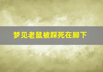 梦见老鼠被踩死在脚下