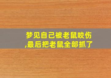 梦见自己被老鼠咬伤,最后把老鼠全部抓了