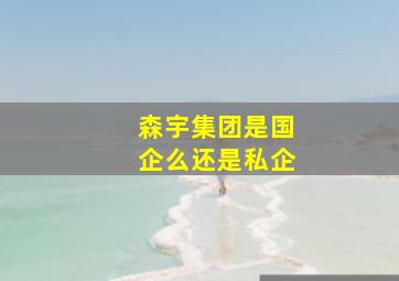 森宇集团是国企么还是私企