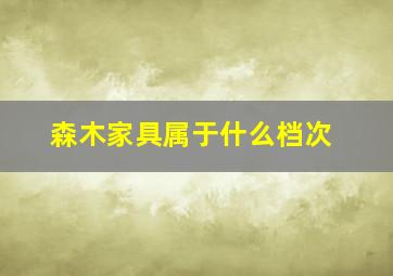 森木家具属于什么档次