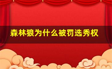 森林狼为什么被罚选秀权