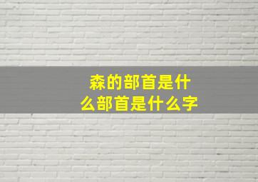 森的部首是什么部首是什么字