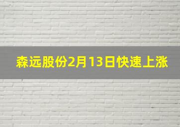 森远股份2月13日快速上涨