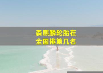 森麒麟轮胎在全国排第几名