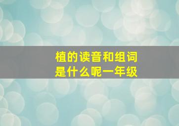 植的读音和组词是什么呢一年级