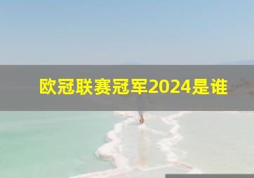 欧冠联赛冠军2024是谁