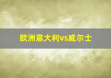 欧洲意大利vs威尔士