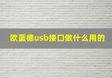 欧蓝德usb接口做什么用的