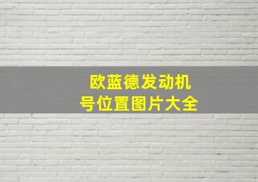 欧蓝德发动机号位置图片大全