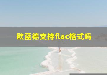 欧蓝德支持flac格式吗