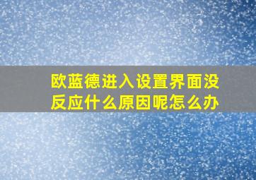 欧蓝德进入设置界面没反应什么原因呢怎么办