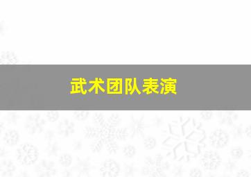 武术团队表演